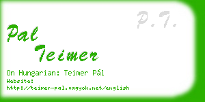 pal teimer business card